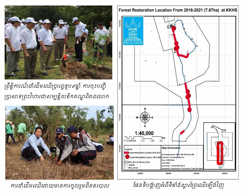 Replanting trees at Koh Ker Site